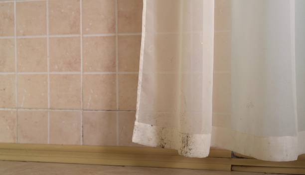Pleasant View, UT Mold Removal Company