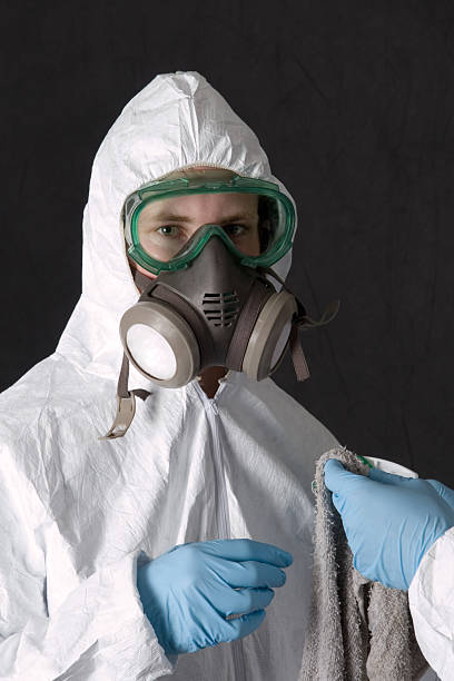 Mold Removal for HVAC Installations in Pleasant View, UT